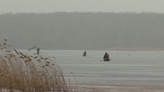 Рыбалка в тамбове форум фион 68 rubyrint
