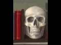SM Violano Paints a Skull still life on the iPad using ...