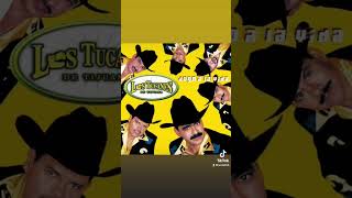 El primo, los tucanes de tijuana, #shorts #lostucanesdetijuana #corridos