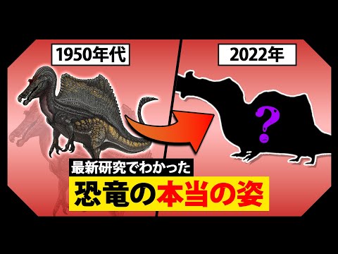 IUCN分類における絶滅の危険性を示す図。