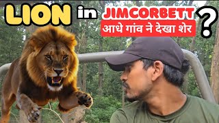 Download lagu Villagers spotted lion at Jimcorbett | Phato zone safari with guests #wildlifewithsaket #tiger mp3