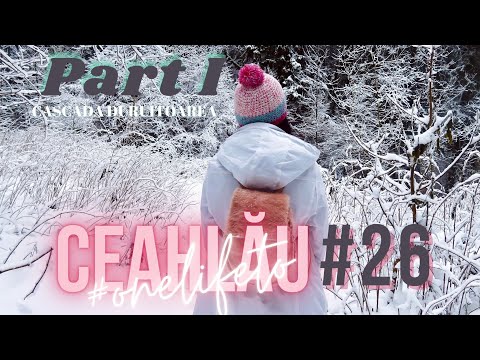 AM  FOST PE CEAHLĂU IARNA! CASCADA DURUITOAREA🏔🌋 prima parte