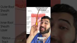 “Laser Hair Removal is a Scam” #wait