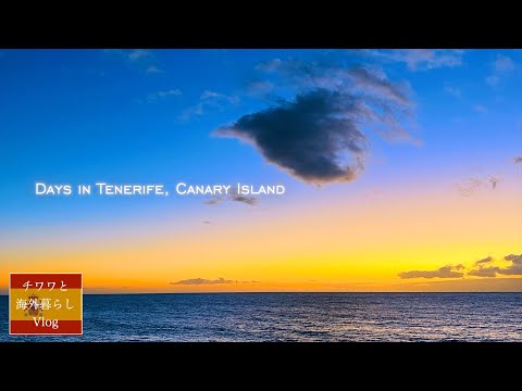 テネリフェ島の衛星画像。