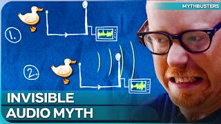 The Internet Lied to You About Ducks! | Mythbusters