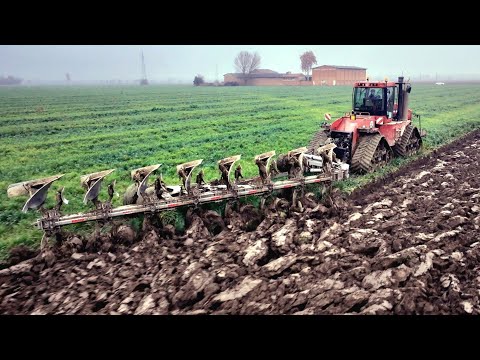 **MOTOR SOUND** Case-IH STX 450 | ERMO Diablo Spev-8 | BREZZI FARM