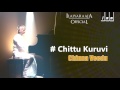 Chittu Kuruvi Song Chinna Veedu Tamil Movie K Bhagyaraj Ilaiyaraaja