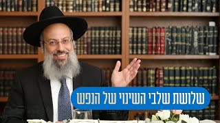 פרשת בשלח | הכאבים כסימן לדרך הנכונה | מדוע השבירה קודמת לריפוי ᴴᴰ (הרב שי עטרי) - התמונה מוצגת ישירות מתוך אתר האינטרנט יוטיוב. זכויות היוצרים בתמונה שייכות ליוצרה. קישור קרדיט למקור התוכן נמצא בתוך דף הסרטון