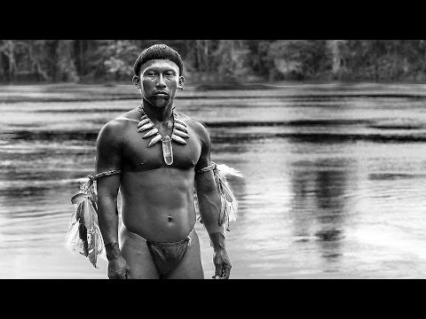 EMBRACE OF THE SERPENT Trailer Video