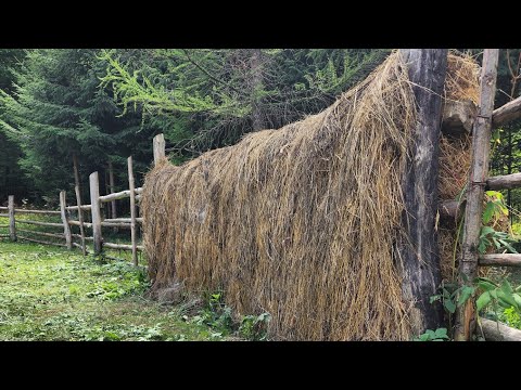 Piatra- Remeți, Maramureș (Romania) | Mountain village scenery and ambience