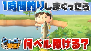 【あつ森】釣り師の本気！１時間がっつり釣りをしたら、何ベル稼げる？【ショーゴの実況】