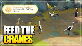 Feed the Cranes | World Quests &amp; Puzzles【Genshin Impact】