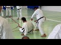 Nijushiho Ideas Principles Bunkai