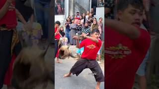 Download lagu Waduh Banteng Manunggal Roso Ngamok Eps-296 #bantengan #ndadi #jaranan #barongan #shorts #short mp3
