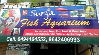 preview picture of video 'Rk Surya fish aquariums'