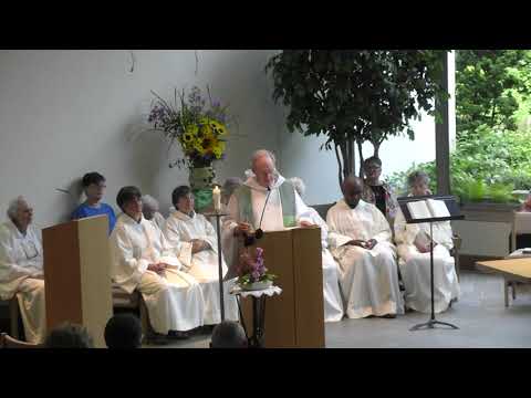 Homily for the 14th Sunday in Ordinary Time