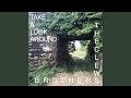 Take a Look Around