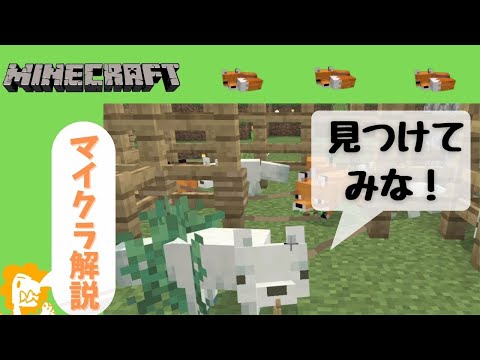 キツネはどうやって繁殖するのでしょうか?