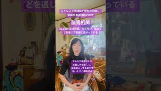 【頭が疲れ過ぎた時の対処法】ストレスを感じたら腸に手を当てる！#脳腸相関　#ストレス解消 #ゆったり呼吸　#セルフヒーリング #ソフィアエムート