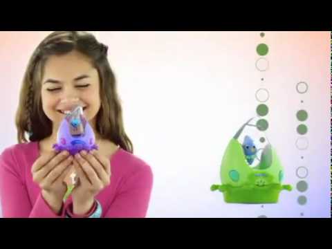 AQUA PETS ASSORTMENT
