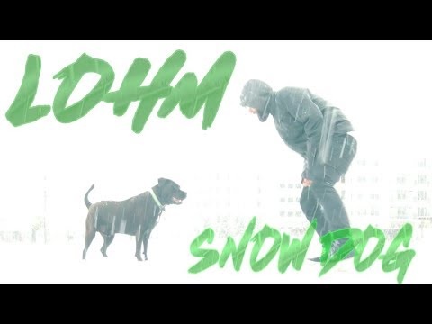 SNOW DOG