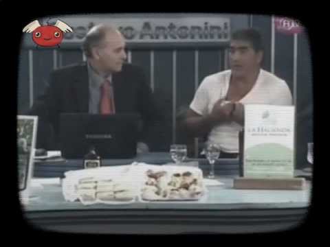 BENDITA TVIO - BENDITA TV 12MAYO