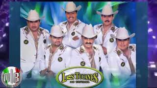 Los Tucanes De Tijuana   Puros Corridos Pesados Mix