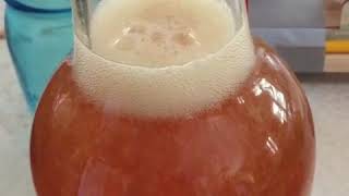 Are you drinking water kefir