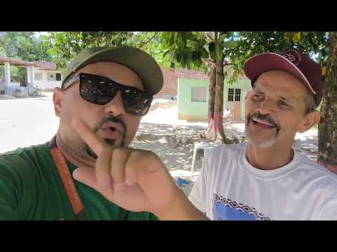 ATUALIZAÇÃO DO CANAL / SEXTA-FEIRA PRODUTIVA /ALDEIA WASSU COCAL / TERRITÓRIO INDÍGENA / J. GOMES-AL