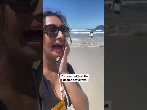 Muizenberg Beach in Cape Town, South Africa 🦈