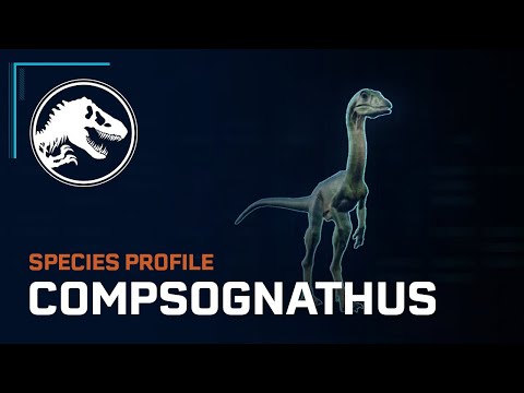 Species Profile - Compsognathus