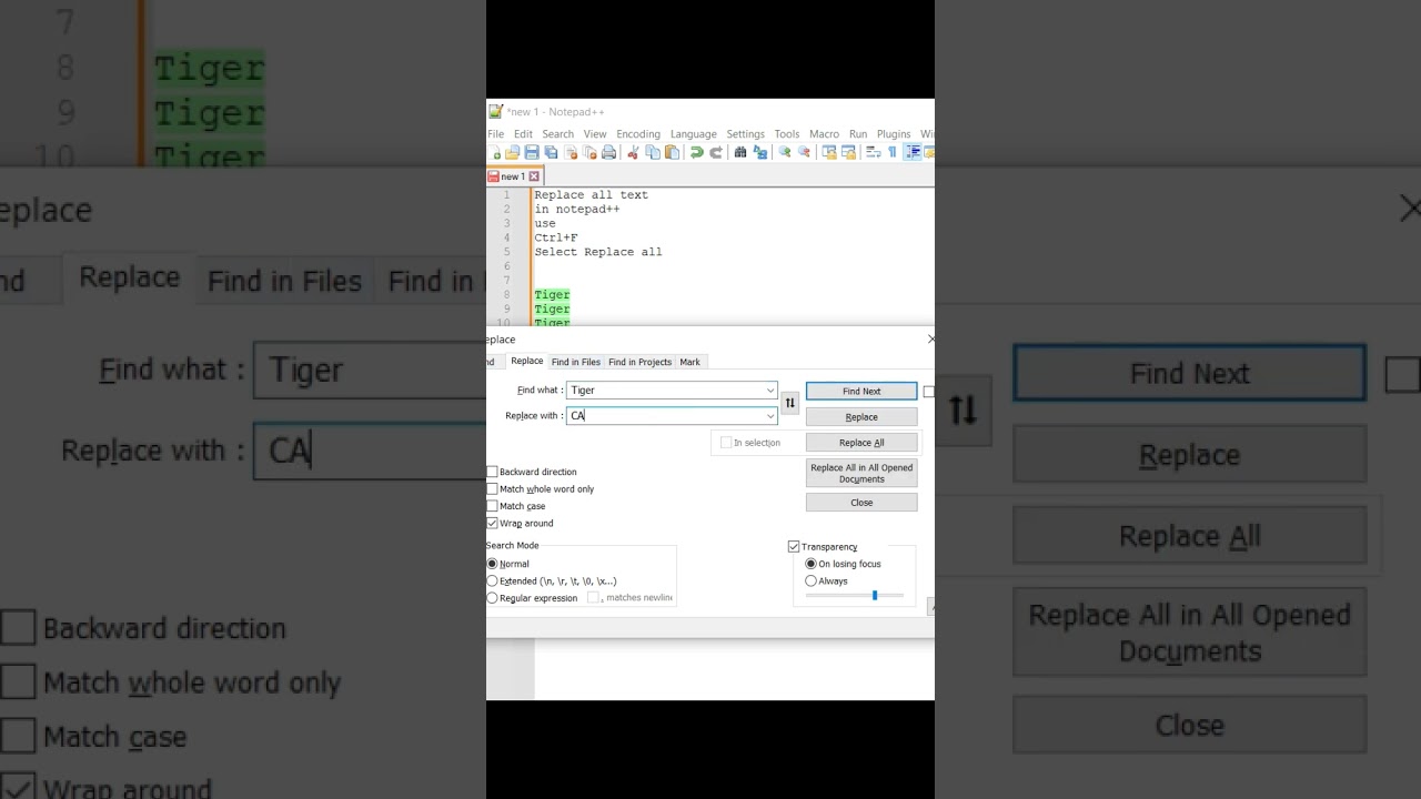 replace all text in notepad++