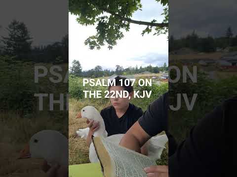 PSALM 107 ON THE 22ND, KJV