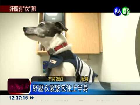 像主人抱抱! 紓壓衣安撫貓狗情緒