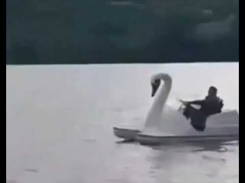 Policial usa pedalinho para apreender homem que estava na lagoa em Aracruz.