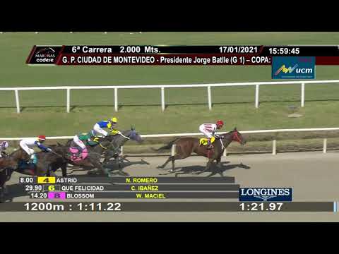 210117 c06 HONRA REAL (BRZ) -SOLO CARRERA-