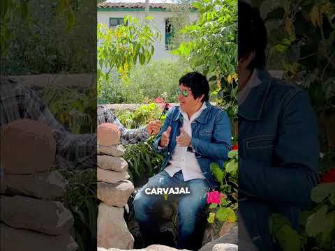 que es lo que mas extrañas de Ayacucho? #leyendas #leyendasurbanas