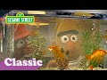 Bert Gets A Fish Tank Sesame Street Classic