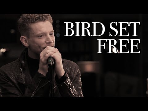 Aidan Martin - Bird Set Free - Sia - Cover