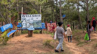 Warrior's Nest Nature Park /Puguis Communal Forest La Trinidad Benguet