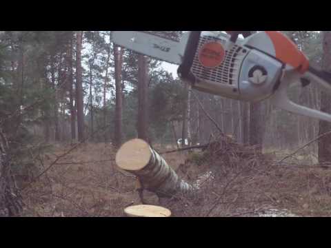 Stihl MS 201 C-M