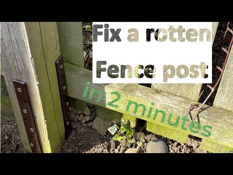 Repair a Rotten Fence Post in 2 minutes