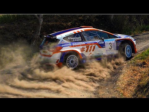 CRASHES & MISTAKES! | Rally di Salsomaggiore Terme 2020 [Video Brum Brum]