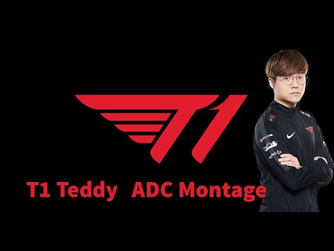Best of Teddy | T1 ADC Montage
