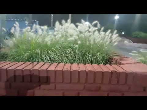 La costanera del río suquia córdoba lindo lugar para pasar la noche en la semana disfruta mucho 