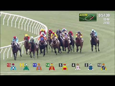 10/1/2021 (327) Copartner Era -  A Badel