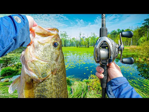 My BEST Spring Bass Fishing Day EVER (Multiple Giants)