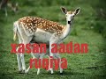 Xasan Aadan Ruqiya