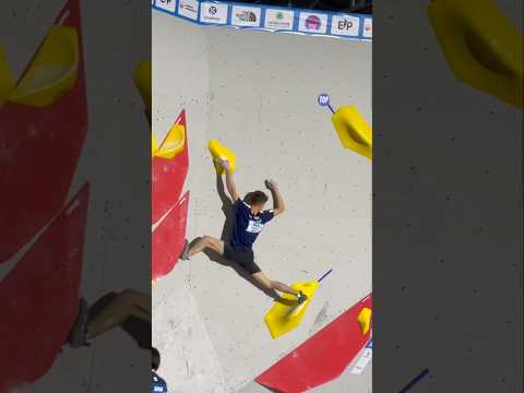 What a World Cup Final Boulder Looks Like #bouldering #climbing #sport #training #viral #top #korea