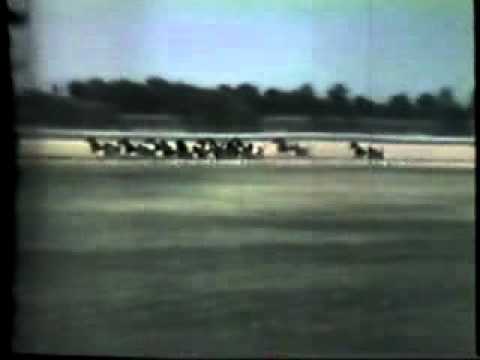 Hambletonian 1958 -Emily's Pride